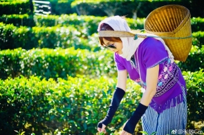 鍥藉鐢靛姩姹借溅鐢垫睜鍙婂厖鐢电郴缁熶骇涓氳閲忔祴璇曚腑蹇冭惤鎴锋繁鍦?